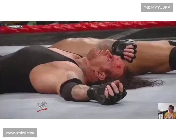 芬利回顾总决赛：几次关键投篮改变了系列赛的命运(芬利wwe)