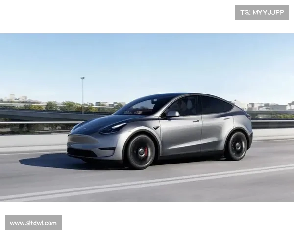 临港新片区国企携手特斯拉,展现优化营商环境的新风貌(临港自贸区特斯拉工厂) 临港新片区国企携手特斯拉,展现优化营商环境的新风貌(临港自贸区特斯拉工厂)