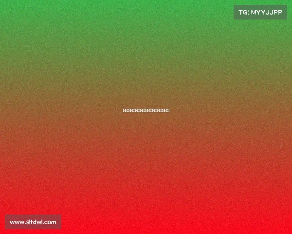 曼城客场挑战布伦特福德，英超第九轮比赛